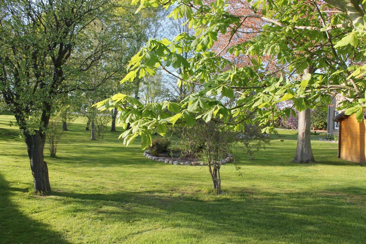 Fewo An Der Muehle Hasselberg  Buitenkant foto